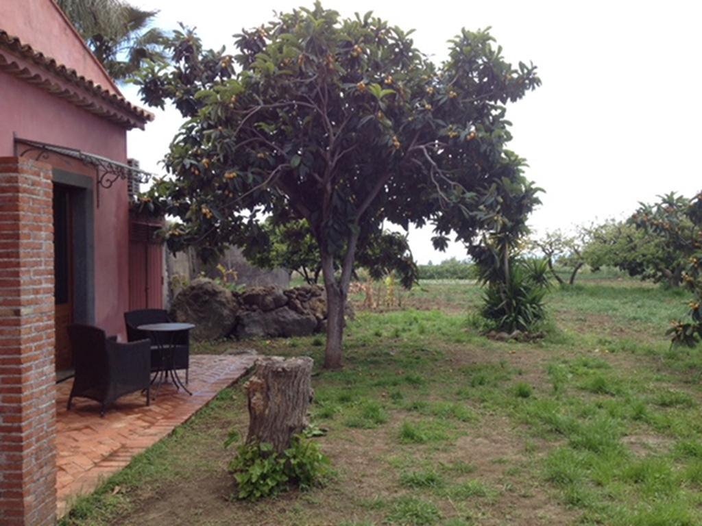 Villa Del Nespolo Fiumefreddo di Sicilia Exteriör bild