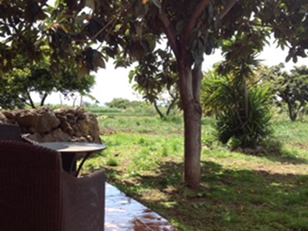 Villa Del Nespolo Fiumefreddo di Sicilia Exteriör bild